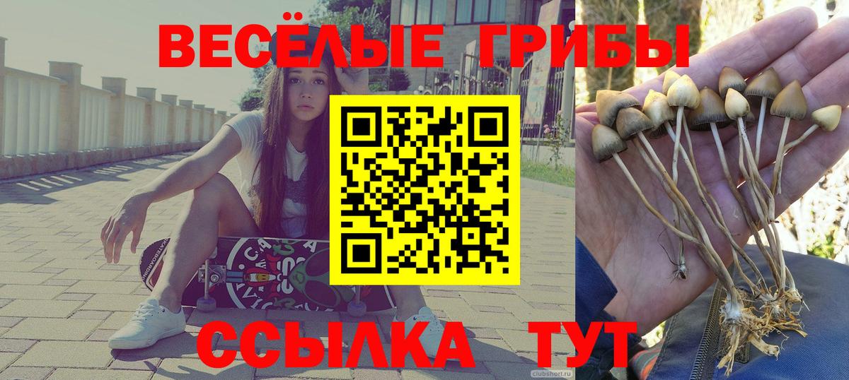 Коломна  Галлюциногенные грибы MAGIC MUSHROOMS  Вход с VPN 