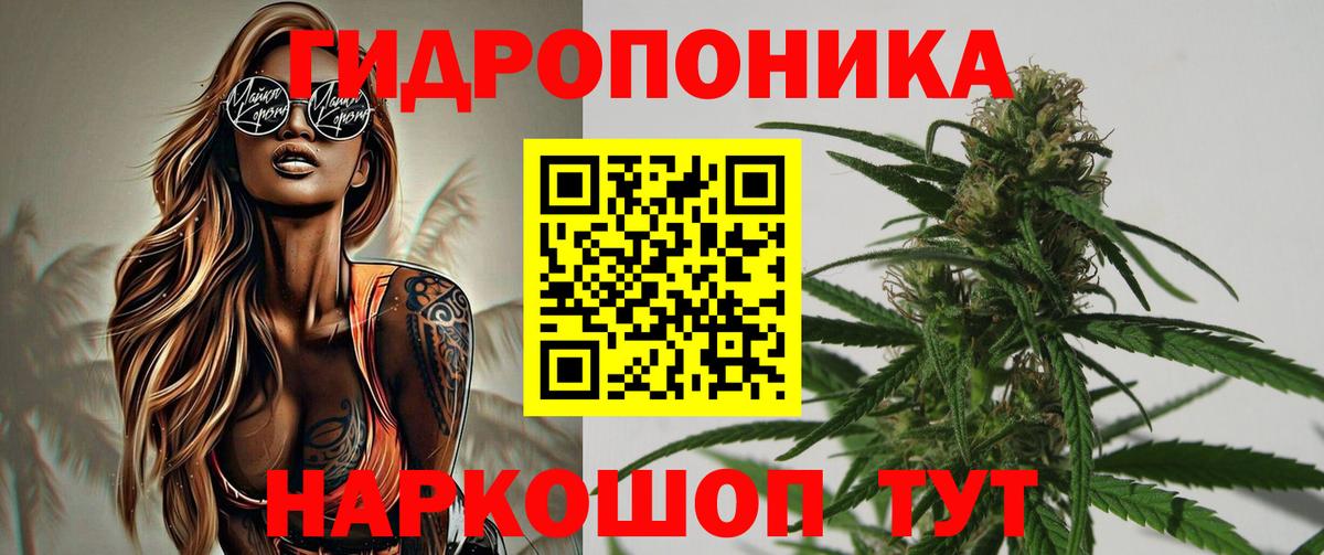 Бошки Шишки VHQ Коломна